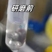 必看！全自動浸入式液氮冷凍研磨儀高效研磨小鼠肝臟提取DNA實操指南